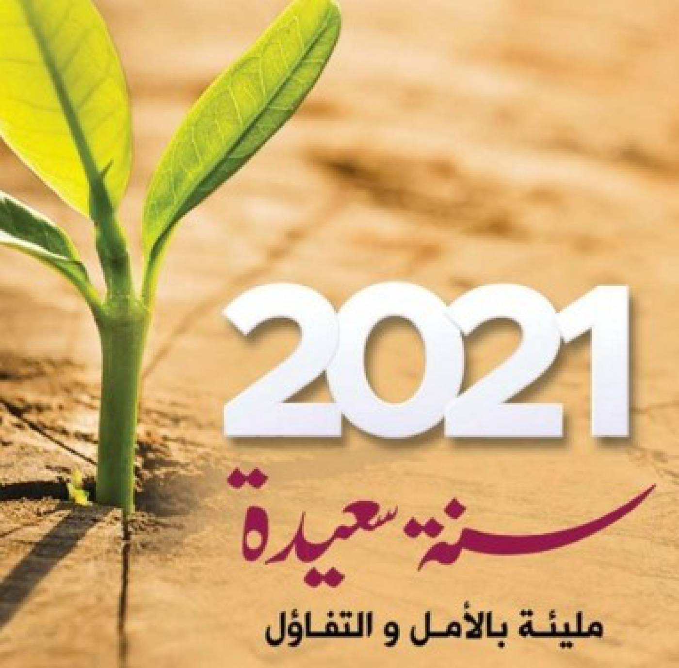 ماى واى عائلة واحدة سنة سعيدة 2021